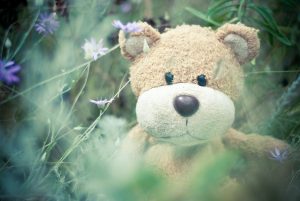Teddy Bear in Woodland