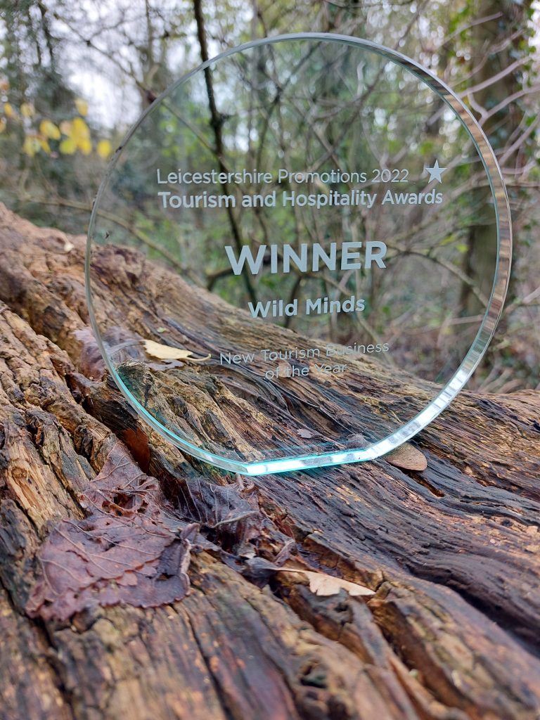 Wild Minds New Tourism Business of the Year Award on a fallen tree in the woods.