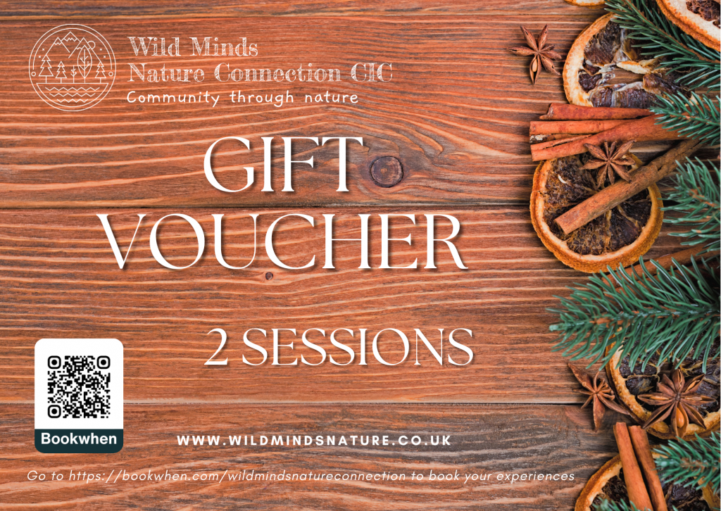 Wild Minds 2 Session Christmas Gift Voucher